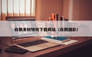 射洪白鹅素材特效下载网站（白鹅摄影）